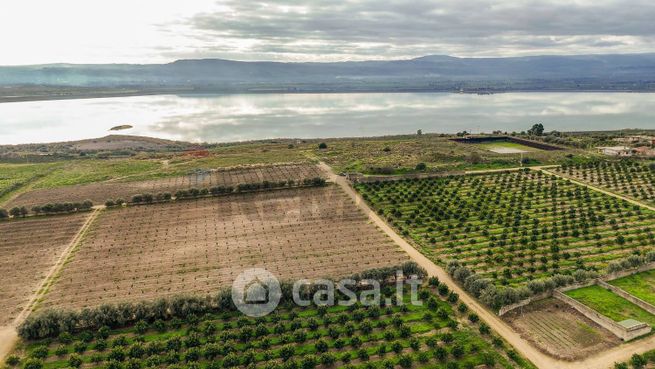 Terreno agricolo in commerciale in Strada Galerno