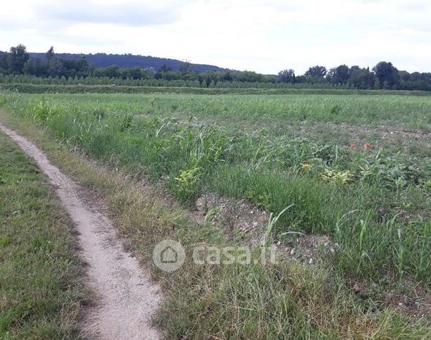 Terreno agricolo in commerciale in SP10