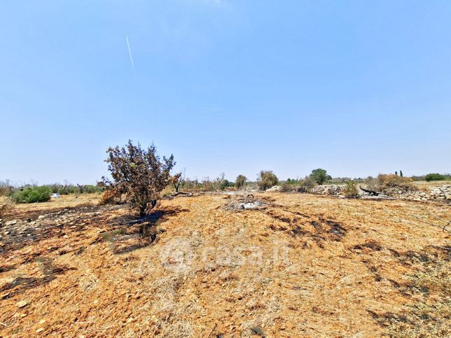 Terreno agricolo in commerciale in Strada Provinciale 193