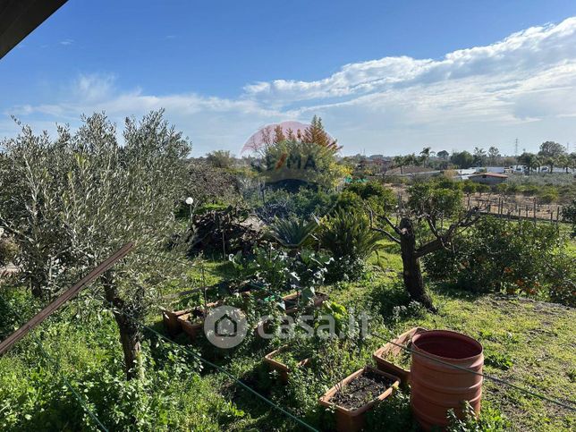 Terreno agricolo in commerciale in Via Chiuzza