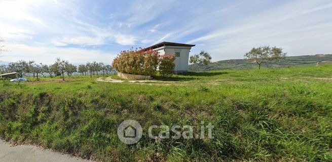 Terreno agricolo in commerciale in Contrada Calvano