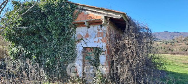 Terreno agricolo in commerciale in 