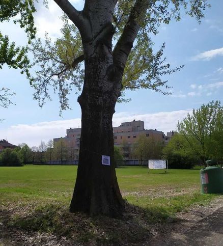 Appartamento in residenziale in Via Gattalupa 1