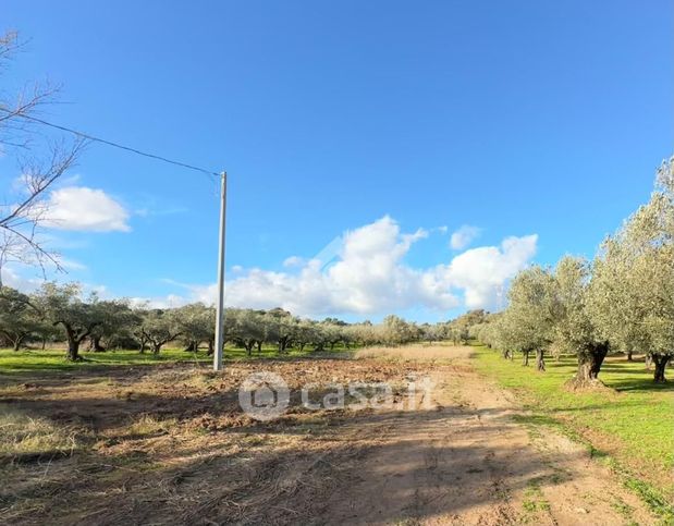 Terreno agricolo in commerciale in Strada Statale 19 dir