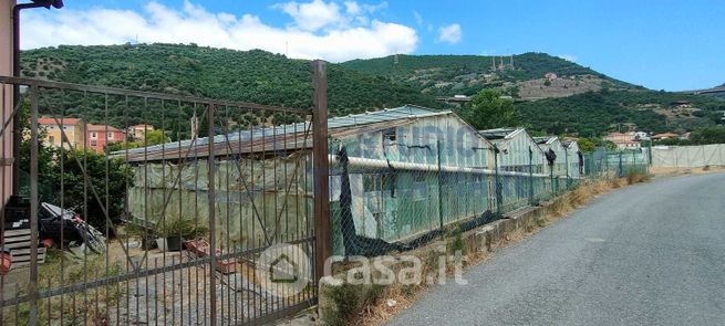 Terreno agricolo in commerciale in Argine Sinistro