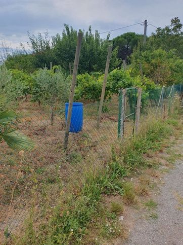 Terreno agricolo in commerciale in Strada Statale 309 Romea