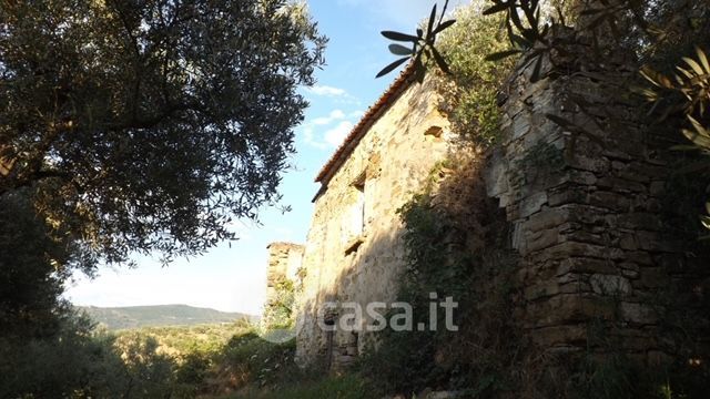 Terreno agricolo in commerciale in san pietro