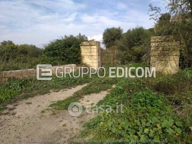 Terreno agricolo in commerciale in Via Conte Alaimo