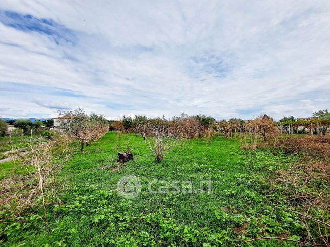 Terreno agricolo in commerciale in Via del Carzolese 109