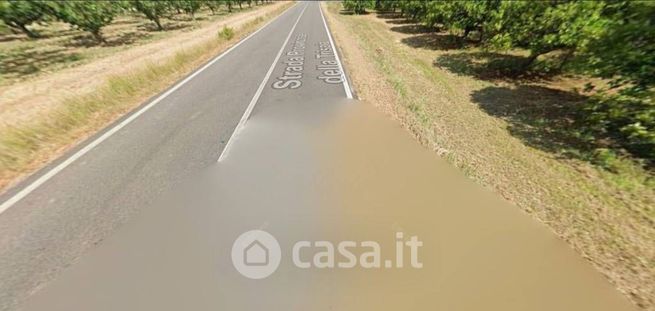 Terreno agricolo in commerciale in Strada Provinciale Trisaia