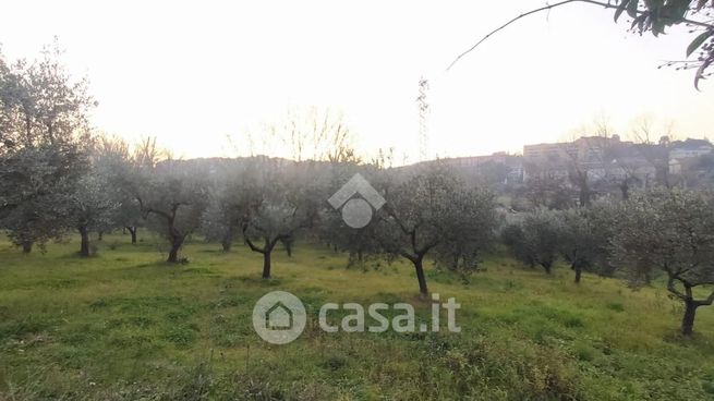 Terreno agricolo in commerciale in Via Creta Rossa