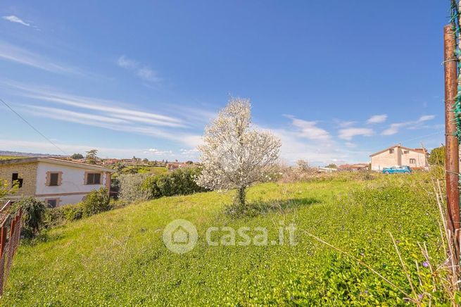 Terreno agricolo in commerciale in Via Pietro Metastasio 1