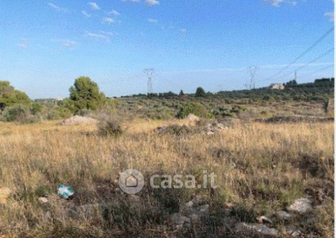 Terreno agricolo in commerciale in Strada Provinciale 103