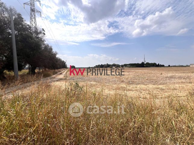 Terreno agricolo in commerciale in Contrada Montenegro