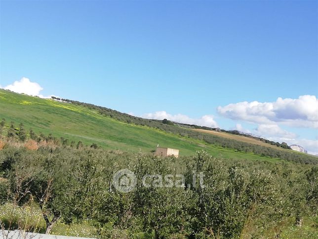 Terreno agricolo in commerciale in Contrada BERTOLINO