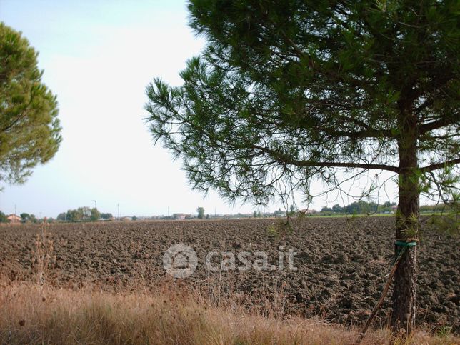 Terreno agricolo in commerciale in Via Fiori 128