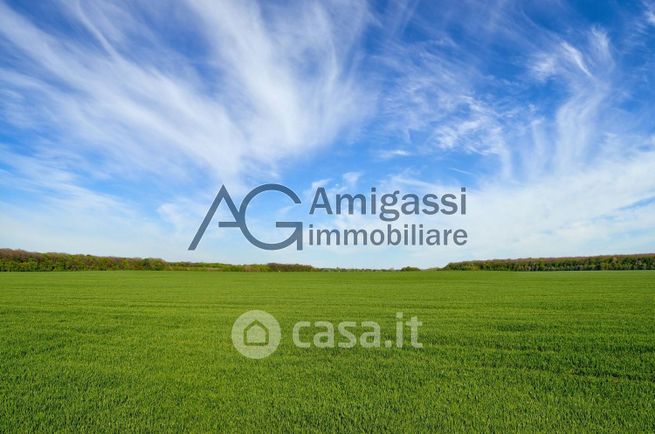 Terreno agricolo in commerciale in Via Europa