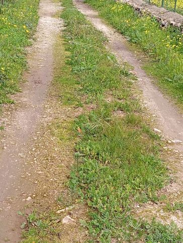 Terreno agricolo in commerciale in Strada Prima Piana Santa Croce