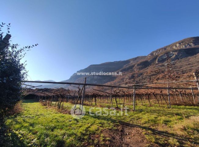 Terreno agricolo in commerciale in Via del Dazio