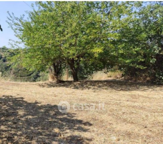 Terreno edificabile in residenziale in Strada Provinciale 248 di Luzzi