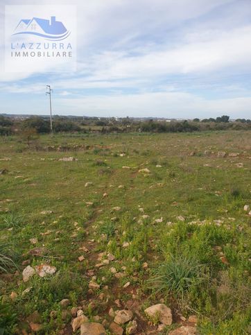 Terreno agricolo in commerciale in Via ZONA CUCURUZZA