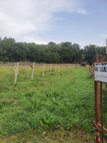 Terreno agricolo in commerciale in Via della Selva