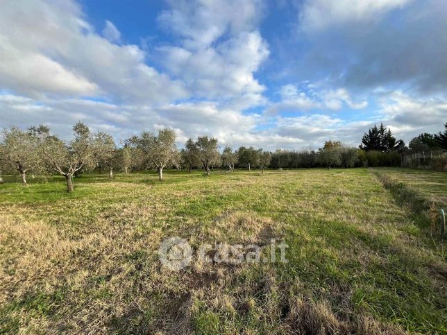 Terreno agricolo in commerciale in 