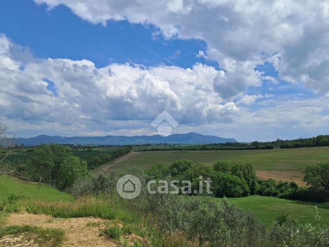 Terreno agricolo in commerciale in 