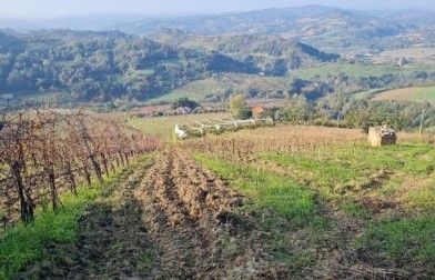 Terreno agricolo in commerciale in Via Montereale