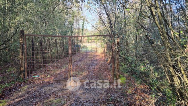 Terreno agricolo in commerciale in del poggiolo