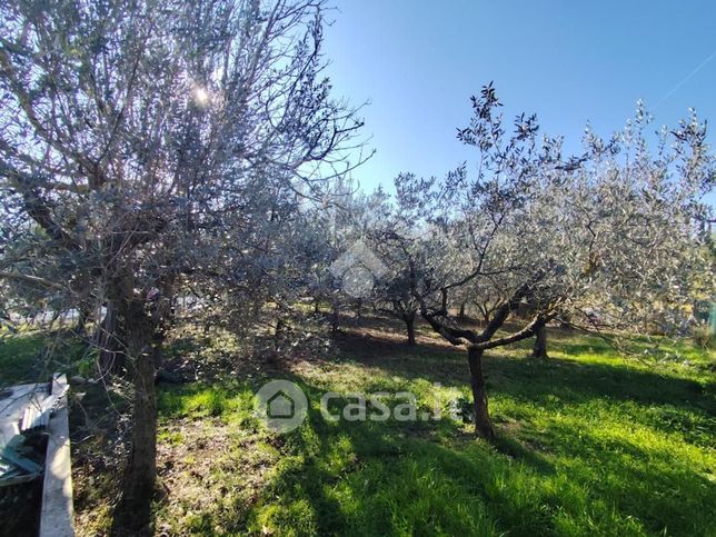 Terreno edificabile in residenziale in Via di Colle San Giovanni 1