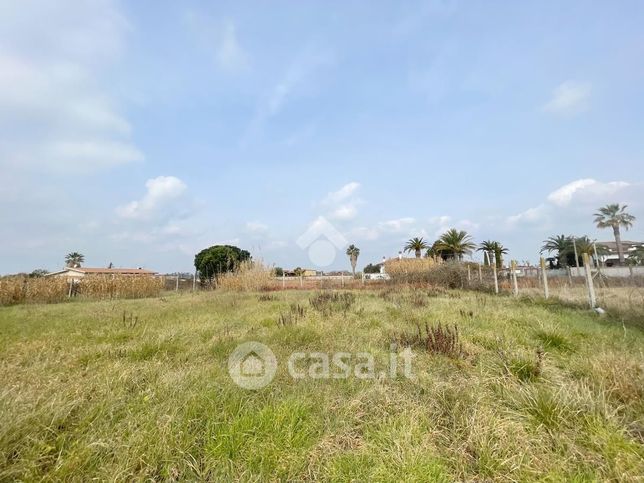 Terreno agricolo in commerciale in Strada Macchia Grande 1