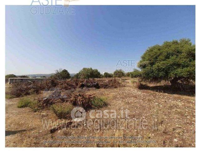 Terreno agricolo in commerciale in Strada di S.Catrini