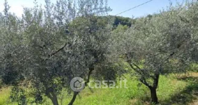 Terreno agricolo in commerciale in Via San Giuseppe