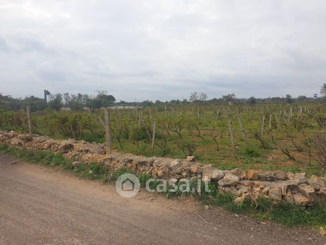 Terreno agricolo in commerciale in CUCURUZZA