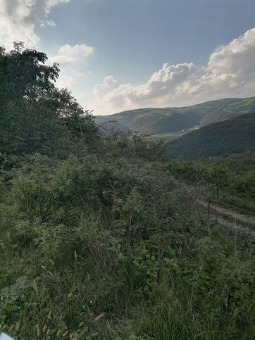 Terreno agricolo in commerciale in 