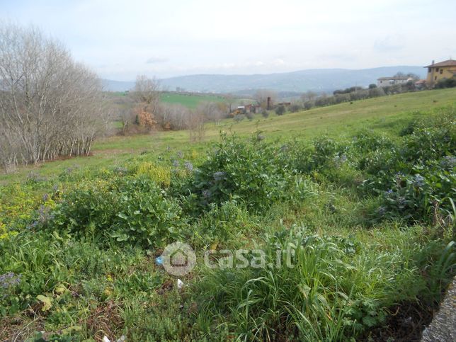 Terreno agricolo in commerciale in Contrada Festola