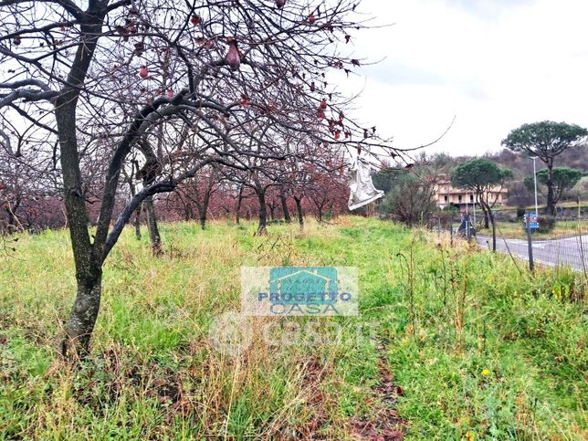 Terreno agricolo in commerciale in Via Seggiari