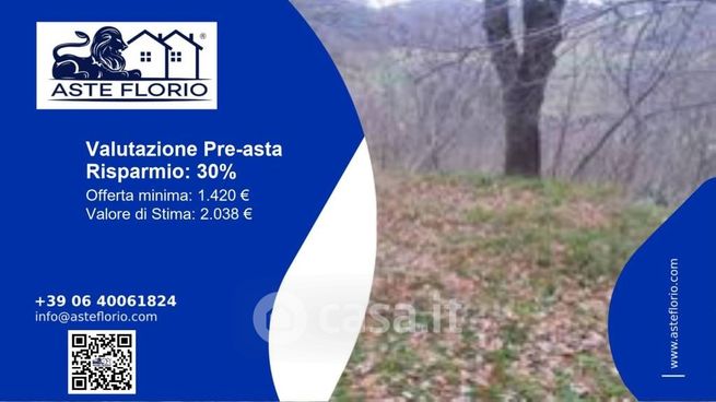 Terreno agricolo in commerciale in Via Duchi di Montefeltro