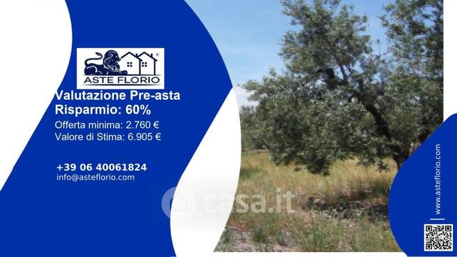 Terreno agricolo in commerciale in Strada vicinale