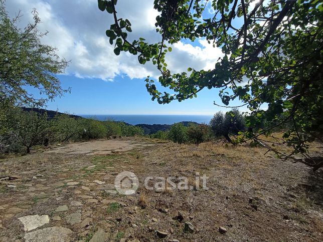 Terreno agricolo in commerciale in Contrada Stoppello