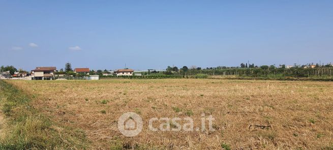 Terreno agricolo in commerciale in