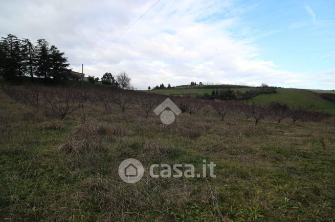 Terreno agricolo in commerciale in Via Madonna dell'Olivo 4727