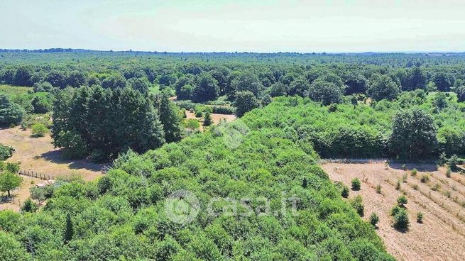 Terreno agricolo in commerciale in Via delle Spinare 8