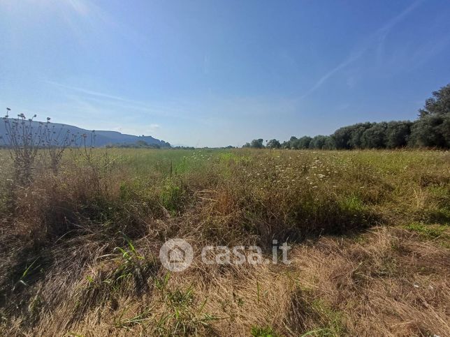 Terreno agricolo in commerciale in Via del Capannone 1