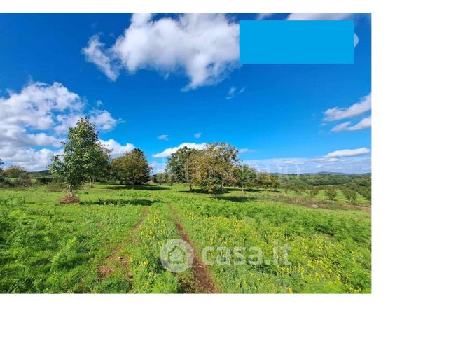 Terreno agricolo in commerciale in Via Le Pastine