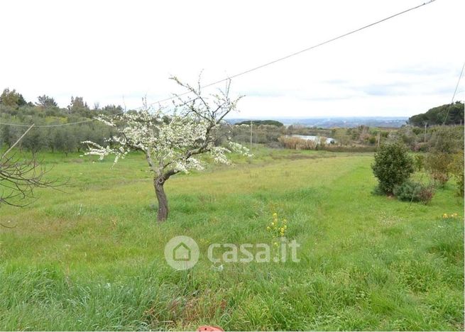 Terreno agricolo in commerciale in 