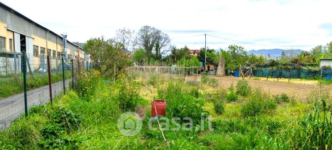 Terreno agricolo in commerciale in arcola
