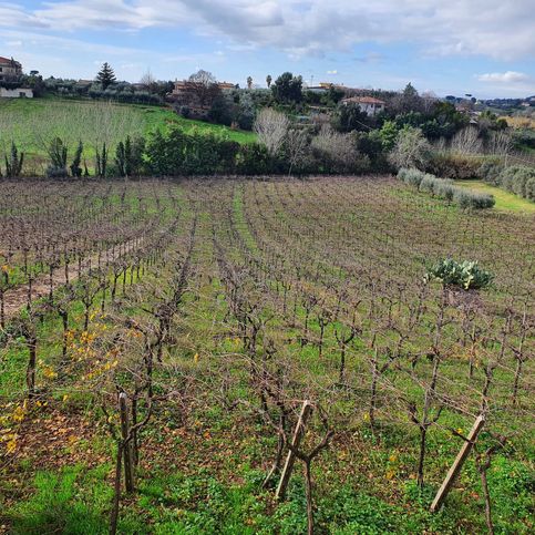 Terreno agricolo in commerciale in Via GROTTE DELL'ORO