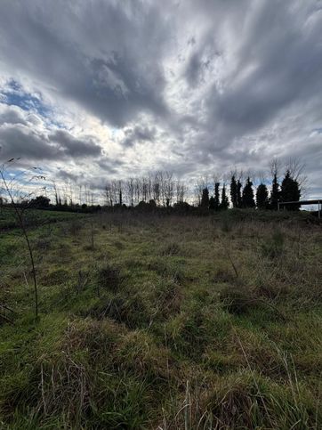 Terreno agricolo in commerciale in Via Ripuaria 43